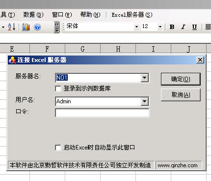 Excel服务器使用大全:定义“销售日报”模板