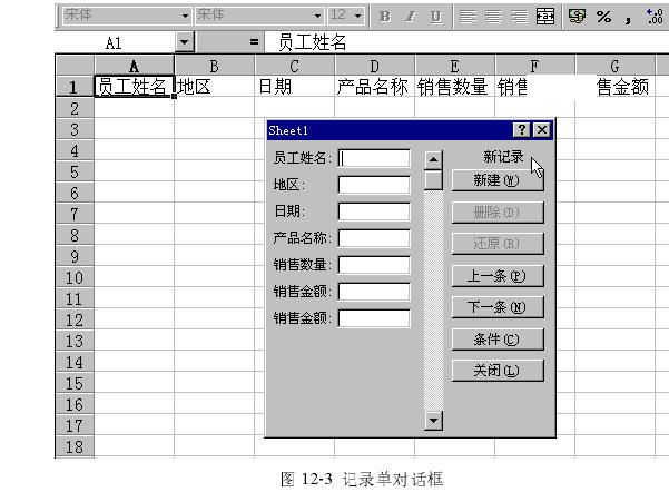 建立和使用Excel数据清单
